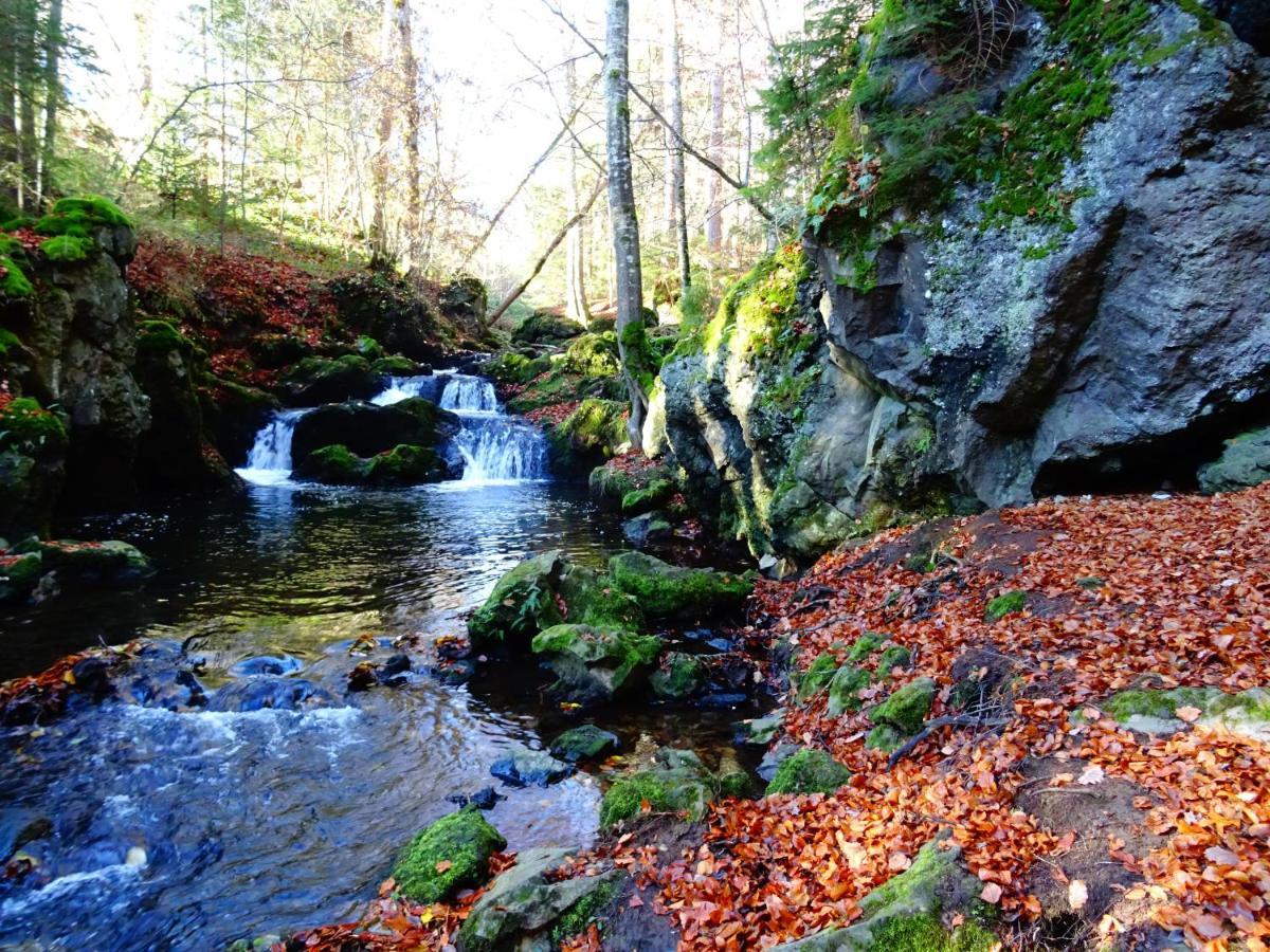 Le Pont Du Roy Bed & Breakfast Besse-et-Saint-Anastaise Luaran gambar